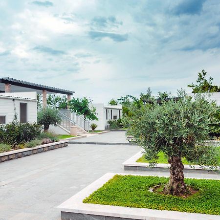 Poseidon Mobile Home Resort Makarska Exteriör bild